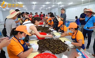 柑普茶品牌如何走出標桿步伐?