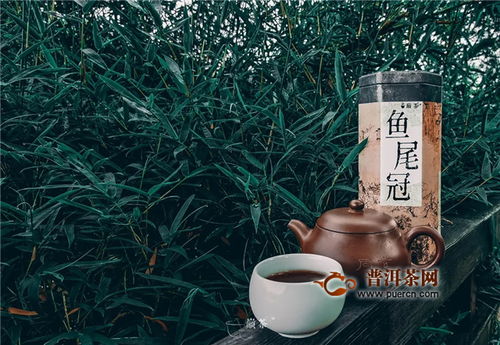 翠竹隨風樂，尾魚逐水流——巔茶茶業的文化與自然之美