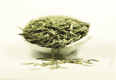 四川宜賓高縣 立足生態(tài)優(yōu)勢，做強茶產(chǎn)業(yè)，譜寫鄉(xiāng)村振興新篇章